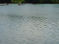DSC00099