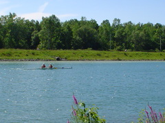 DSC00101