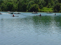 DSC00084